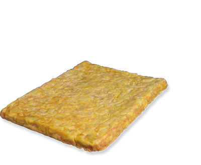 Tortilha Rectangular com cebola